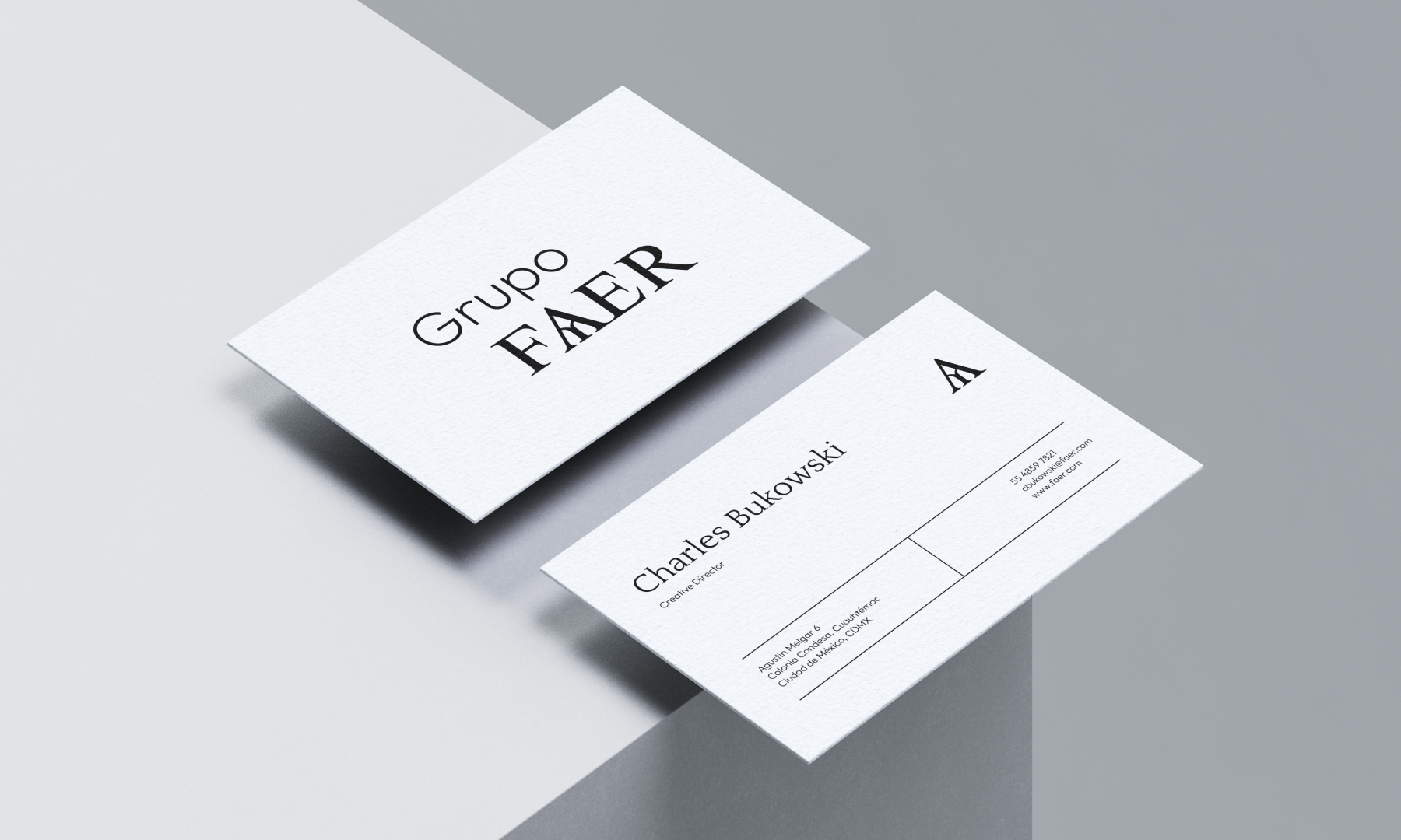 Grupo FAER