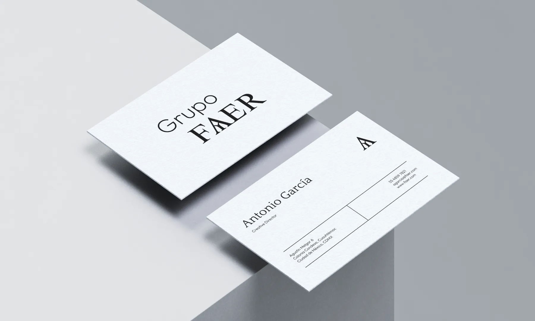 Grupo FAER