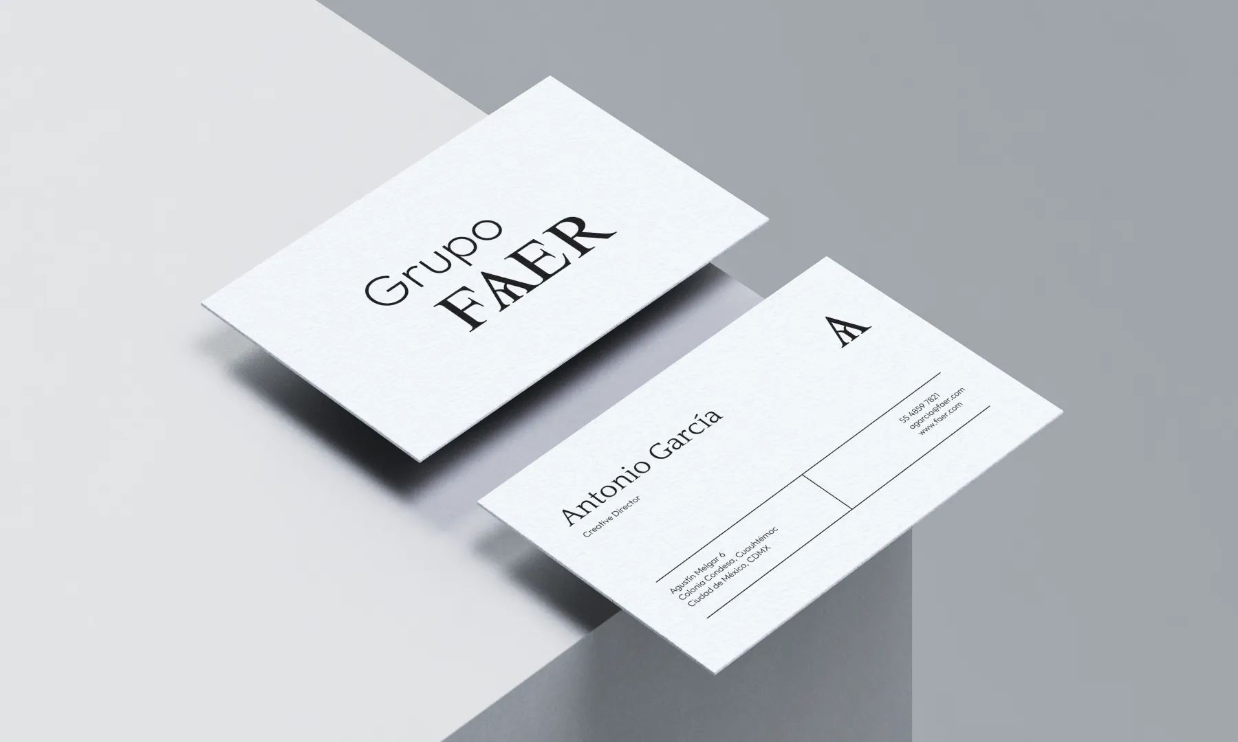 Grupo FAER